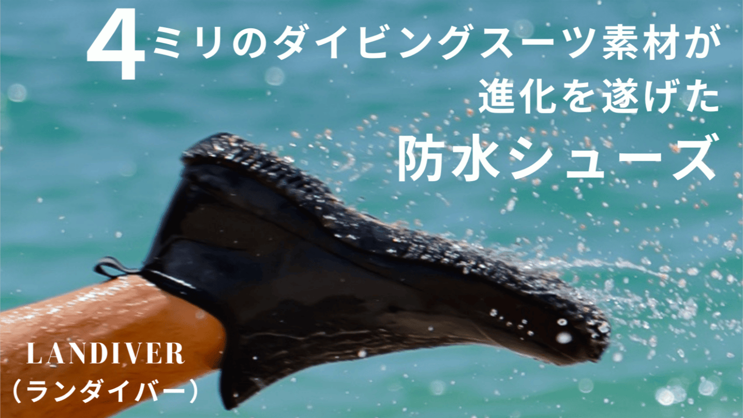 ランダイバー (LanDiver)