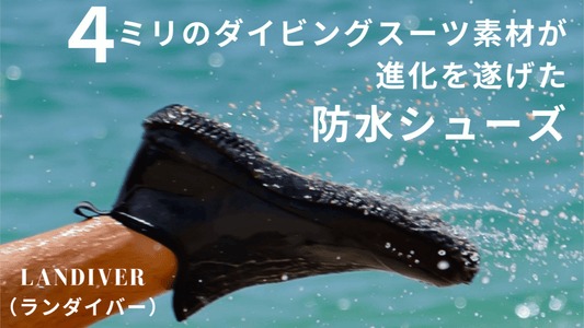 ランダイバー (LanDiver)